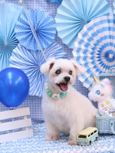 20231104ひなちゃん